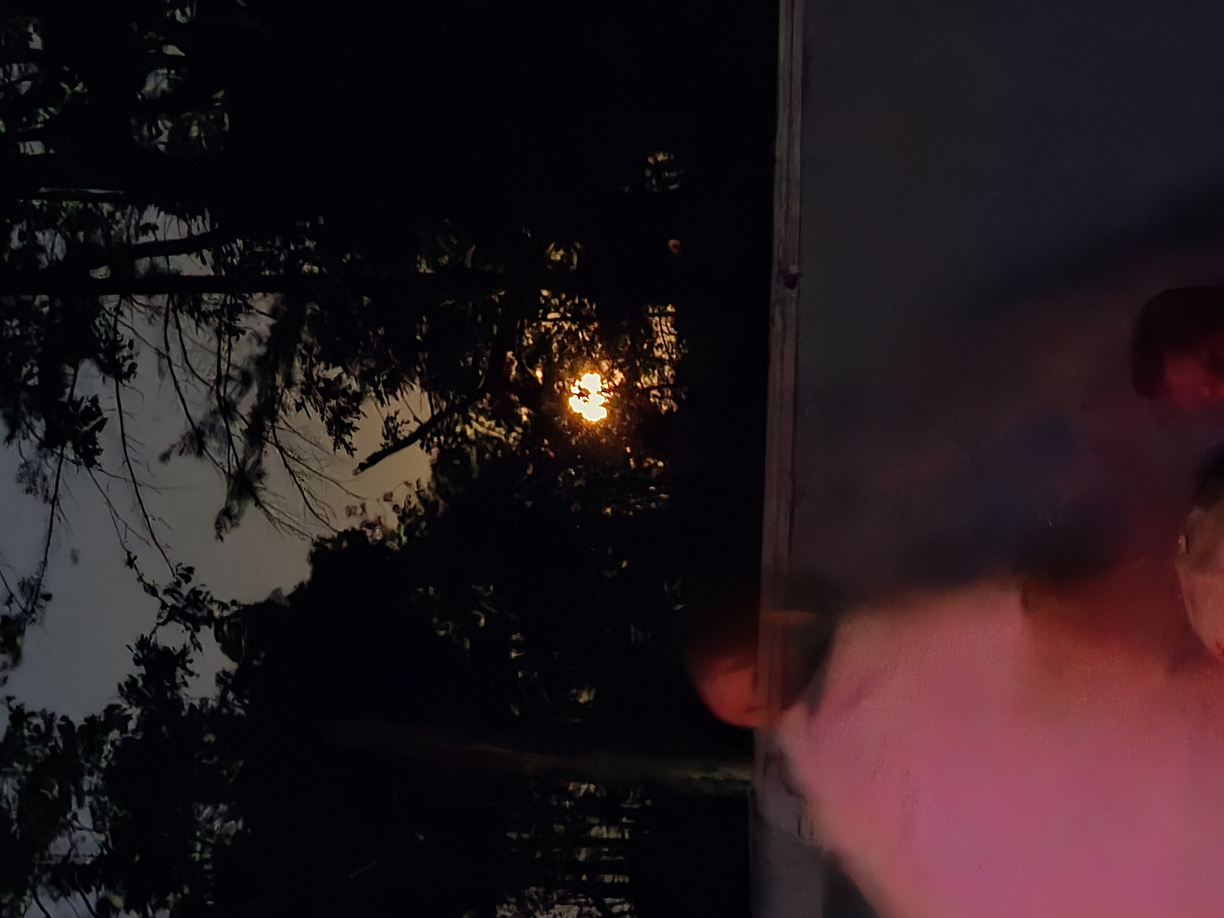 20250809_215624.jpg