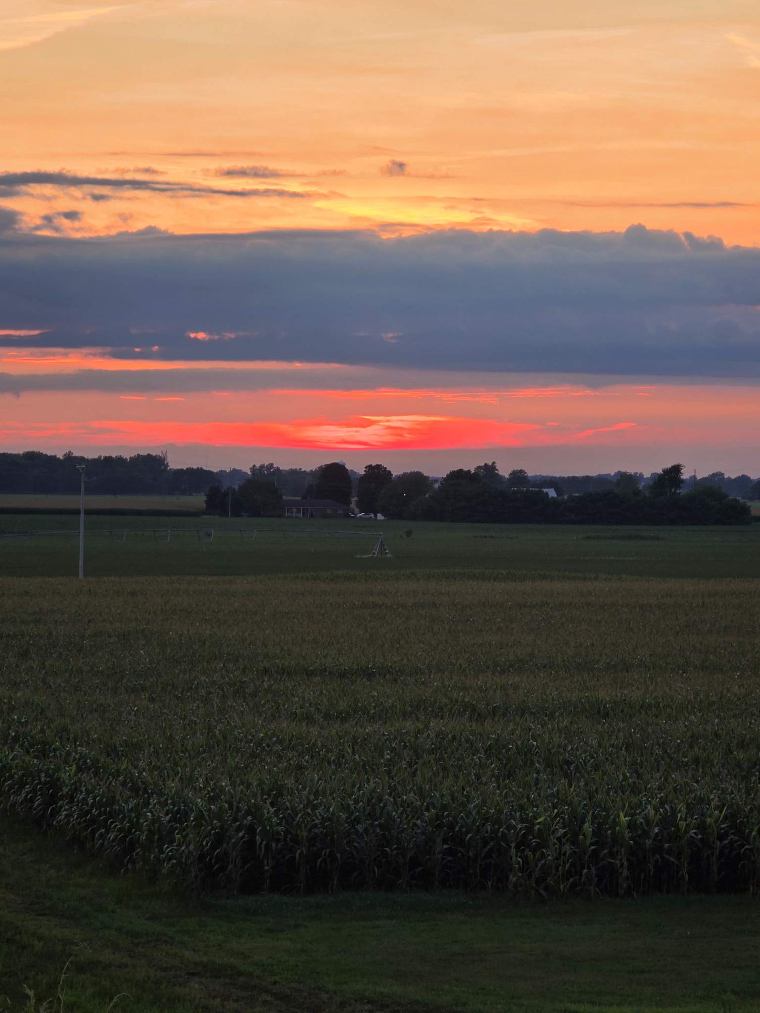 IMG_20250829_223632 (5).jpg