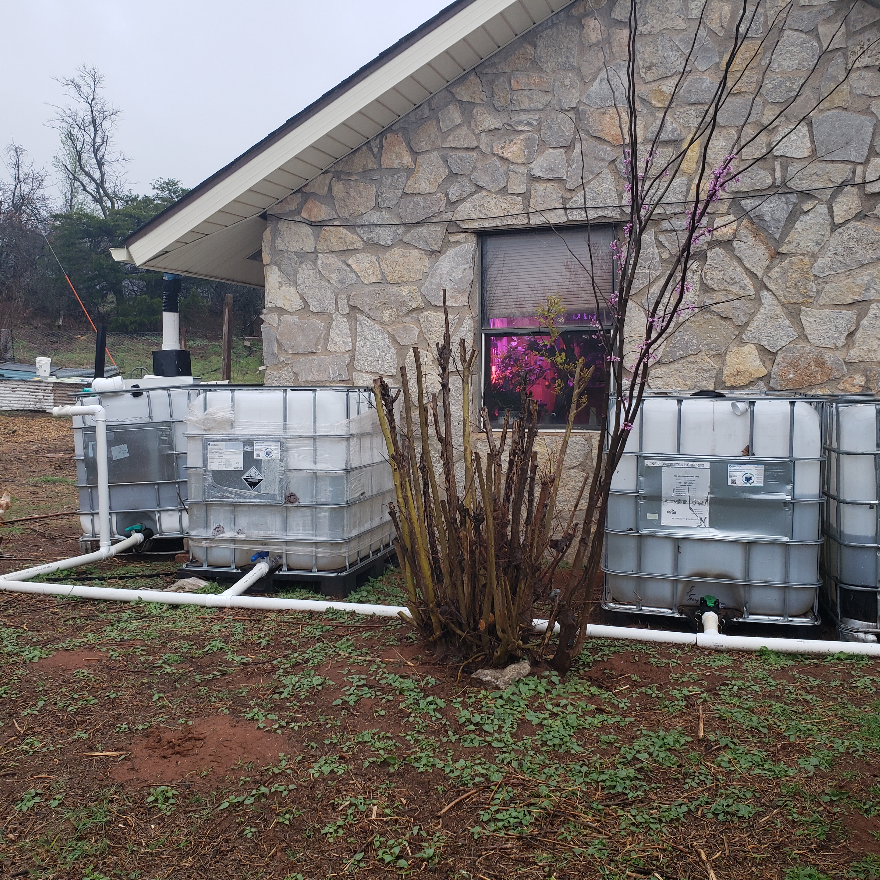 Rooftop rain catchment